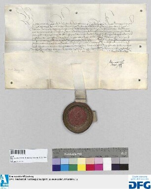 König Maximilian I. stellt der Stadt Nürnberg über die gewöhnliche Stadtsteuer Quittung aus.