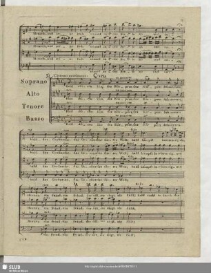 3. Coro: Bald stören ihn