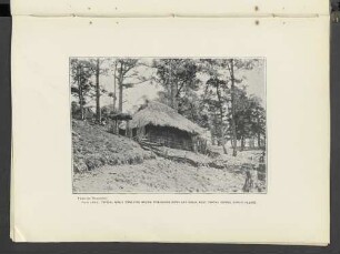 Plate LXVIII.