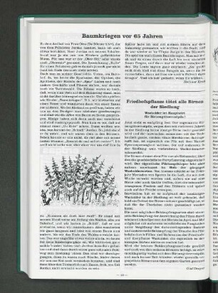 Friedhofspflanze tötet alle Birnen der Siedlung wacholder ist Hauptwirt für Birnengitterrostpilz!