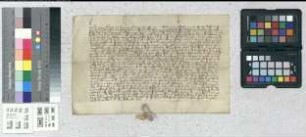 Anna von Kalenberg, Frau des Raveno von Kalenberg, stipuliert ihre Leibzuchtrechte auf das von ihrem Manne dem Landgrafen Ludwig von Hessen zu Lehen aufgetragene Schloß Kalenberg.