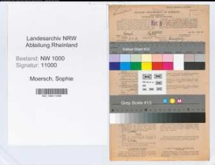 Entnazifizierung Sophie Moersch, geb. 05.04.1906 (Stenotyp.)