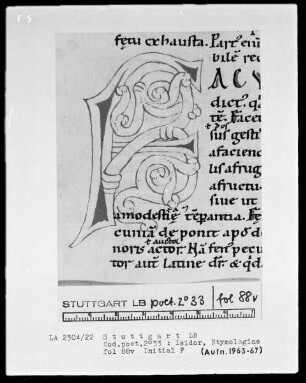 Isidor von Sevilla, Etymologiae — Initiale F, Folio 88verso