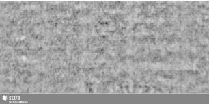 Lilienschild + IESV / LW = S.21/22