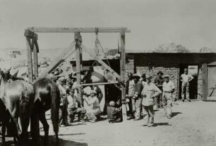 Afrika. Beschlagschmiede : Afrika. Beschlagschmiede. Blick auf Balkengerüst mit Flaschenzug und emporgehobenem Pferd, zum gleichzeitigen Beschlagen mehrerer Hufe. Reproduktion nach Wiesmeyer, Aufnahme vor 1945