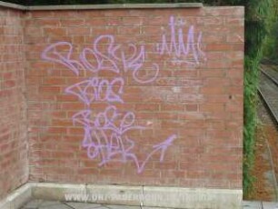 RoStE BiOS BoSe SHeK :itM!