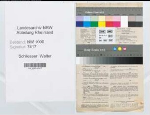 Entnazifizierung Walter Schliesser, geb. 01.01.1900 (Bankangest.)