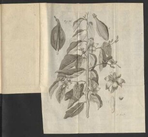 Fig. 36.
