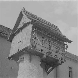 Großsteinberg (Kreis Grimma). Gehöft, Dorfstr.21. wohl 19. Jh. Taubenschlag des Taubenhauses ,undatiert