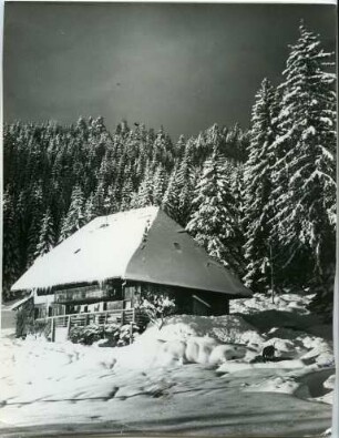 Landschaft mit Schwarzwaldhaus