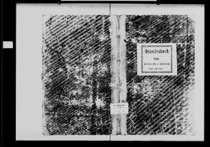 Waldmühlbach, katholische Gemeinde: Standesbuch 1868-1869