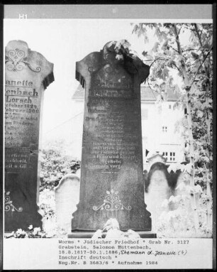Grabstein von Salomon Hüttenbach (gestorben 1886.01.30)