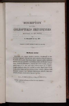Description De Divers Coleopteres Brevipennes