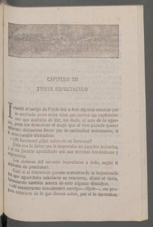 Capítulo XII - Triste espectáculo