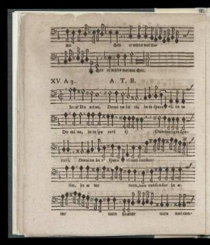 XV In te Domine speravi (a 3. Alto, Tenore & Basso)