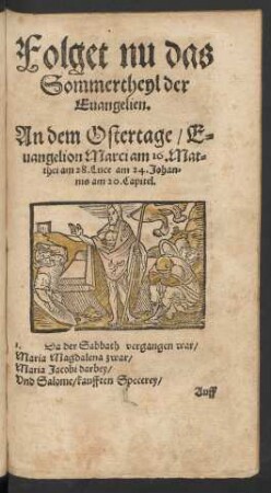 Folget nu das Sommertheyl der Evangelien.