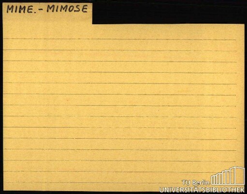 MIME.-MIMOSE