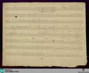Disperato in turbato - Don Mus.Ms. 115 : S, strings; G