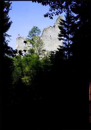 Herrenzimmern: Burg Herrenzimmern, vom hinteren Burgplatz