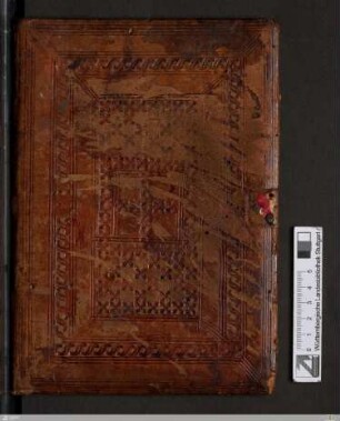 Satyrae
