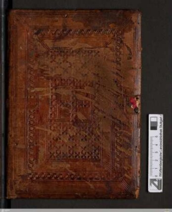 Satyrae