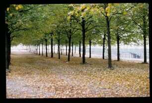 Marx-Engels-Platz 29.9.80.