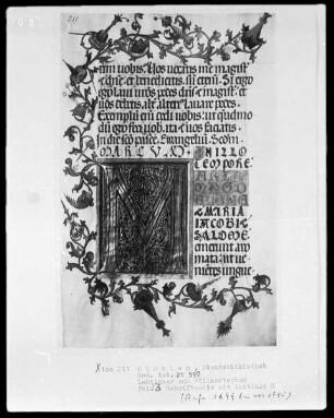 Lektionar für Kloster Weihenstephan angefertigt — Initiale M und Dreiviertelbordüre, Folio 13recto