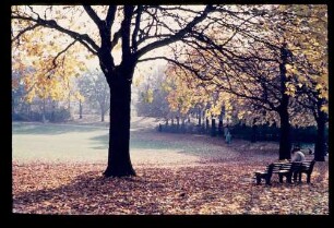 Schöneberg Stadtpark 23.10.56.