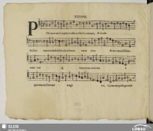 XXXVIII. Anonymus: Pelli meae