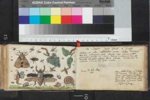 Einträge Bl. 101 - 110