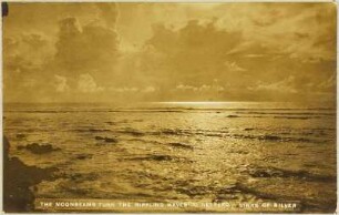 Pazifischer Ozean (Hamburger Südsee-Expedition 1908-1910)