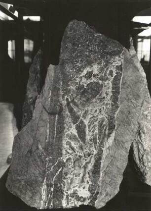 Erzgang mit Breccienstruktur u.a. Zinkblende im grauen Erzgebirgsgneis. Obergruna südsüdöstlich Siebenlehn, Bergwerk "Gesegnete Bergmannshoffnung"