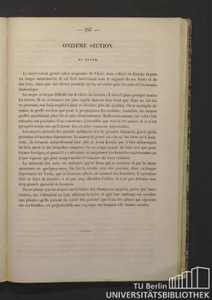 Onzième Section. Du noyer.
