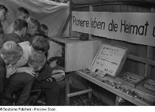 Kinder vor einer Naturkundestation