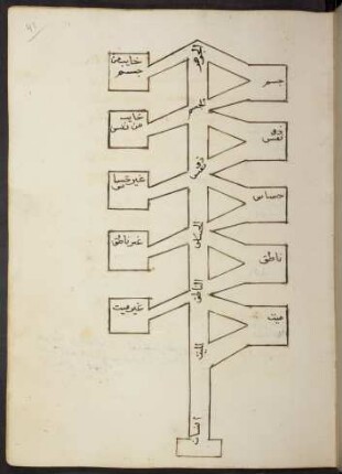 Illustration: f. 41r-41v