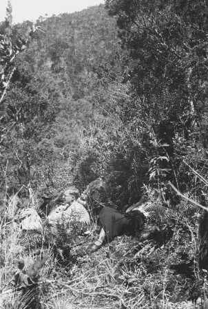 Rast (Lateinamerika-Aufenthalte 1934/1942 – 6. Kolumbien 1938-1942)