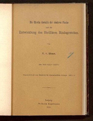 Die Chorda dorsalis der niederen Fische und die Entwicklung des fibrillären Bindegewebes