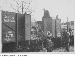 Verladen von Obstbäumen