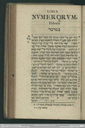 Liber Numerorum