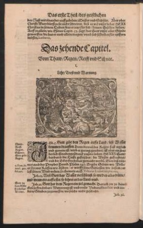 Das zehende Capitel. Vom Thaw/ Regen/ Reiff und Schnee.