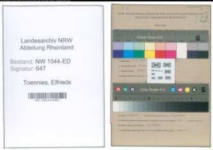 Entnazifizierung Elfriede Toennies , geb. 09.01.1898 (Lehrerin)
