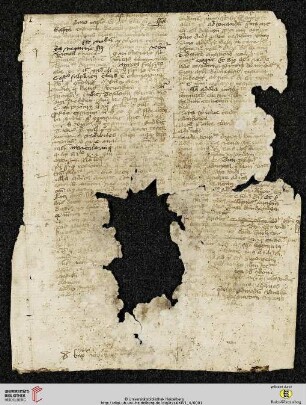 Vita Christi (Excerpta)