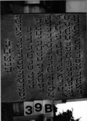 Grabstein 39 (Index: 99804557) Material: Sandstein Zustand: leicht verwittert, Sockel stark verwittert mit Textverlust Maße HxBxT: 142x50x16 cm Beschreibung: Stele, Sockel, eingezogener Rundbogenabschluß Besonderheit: Sockel gehört nicht zu diesem Stein -> siehe freie Kommentierung: Grabstein 39B