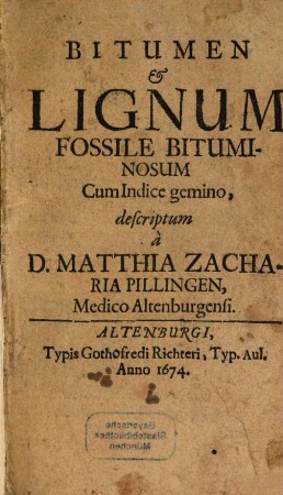 Bitumen et lignum fossile bituminosum