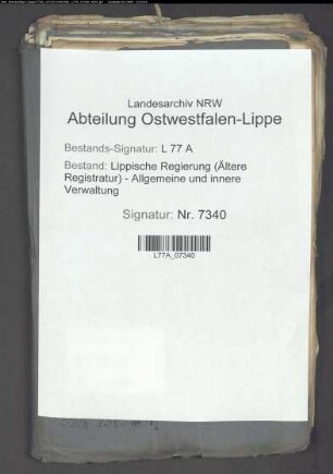 Magazinlieferungen aus der Stadt Detmold, Bd. 2
