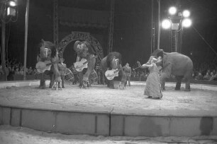 Gastspiel des Zirkus Krone in Karlsruhe.