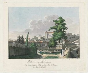 Partie von Tübingen bey dem langen Steg an der alten Ammer : Kolorierte Lithographie/Radierung