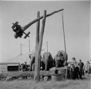 Schausteller mit Elefanten an einem Ziehbrunnen