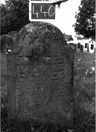Grabstein 440 (Index: 100102742) Material: Sandstein Zustand: stark verwittert, abgeblättert, weitgehender Textverlust Maße HxBxT: 105x56x7 cm Beschreibung: Stele, eingezogener Rundbogenabschluss, Schriftfeld eingetieft mit Konvexbogenabschluss: Grabstein 440