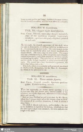 Solarium discoideum. Tab. XI. - Upper right hand figures